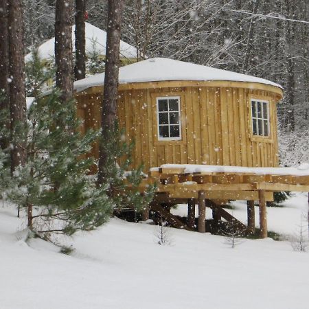 La Maison Sous Les Arbres Saint Roch de Mekinac 外观 照片