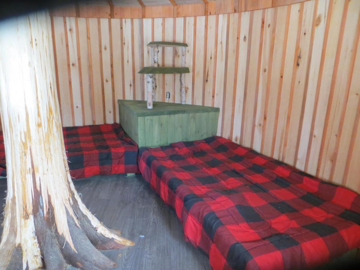 La Maison Sous Les Arbres Saint Roch de Mekinac 外观 照片