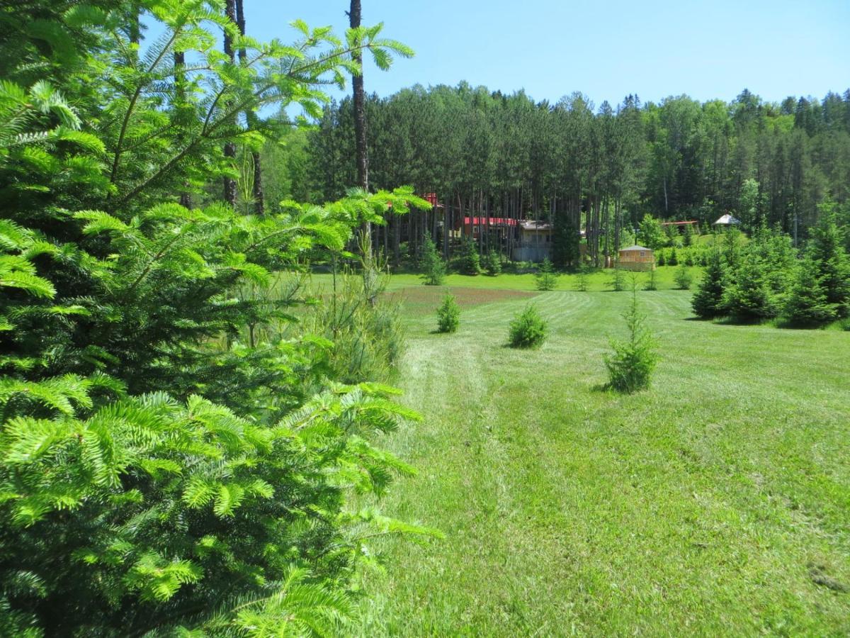 La Maison Sous Les Arbres Saint Roch de Mekinac 外观 照片